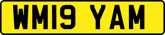 WM19YAM