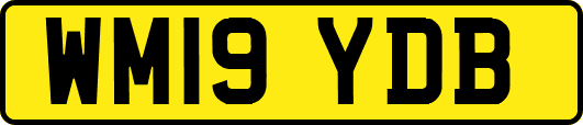 WM19YDB