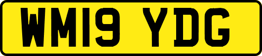 WM19YDG
