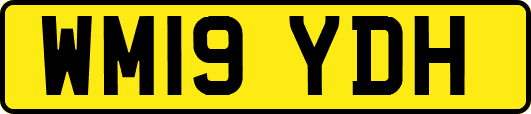 WM19YDH