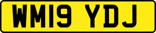 WM19YDJ