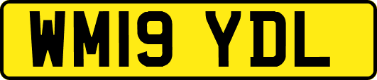 WM19YDL