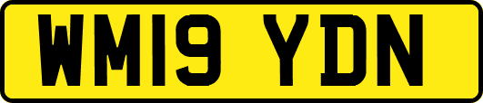 WM19YDN