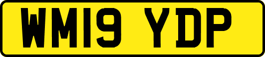 WM19YDP