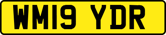 WM19YDR
