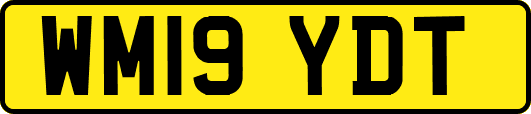 WM19YDT