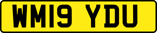 WM19YDU