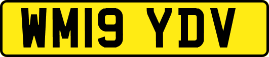 WM19YDV