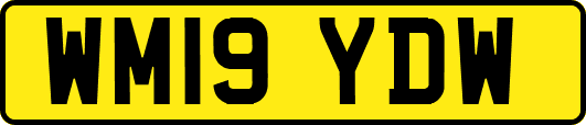 WM19YDW
