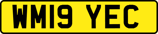 WM19YEC