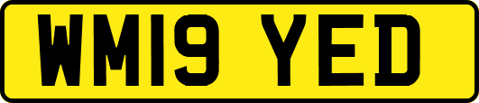 WM19YED