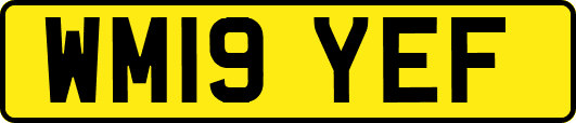 WM19YEF