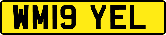 WM19YEL