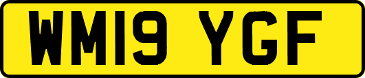 WM19YGF
