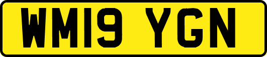 WM19YGN