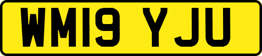 WM19YJU
