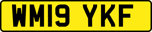 WM19YKF