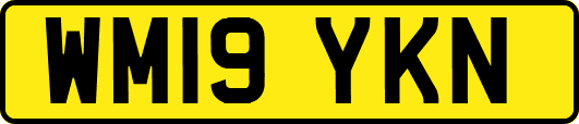 WM19YKN