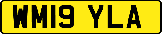 WM19YLA