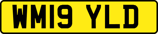 WM19YLD