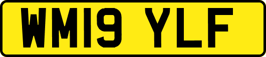 WM19YLF