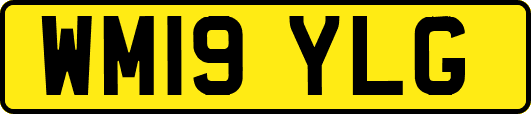 WM19YLG