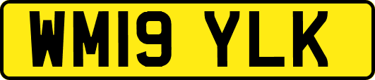 WM19YLK
