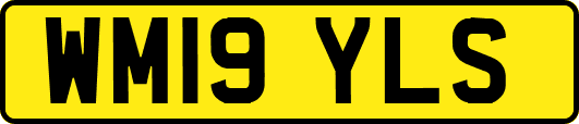WM19YLS