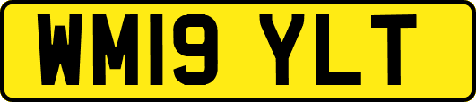 WM19YLT