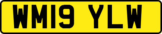 WM19YLW