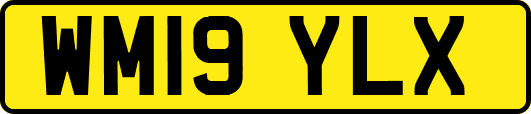 WM19YLX