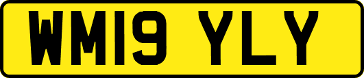 WM19YLY