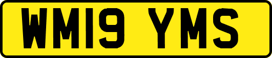 WM19YMS