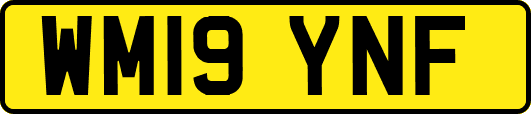 WM19YNF