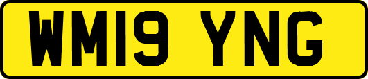 WM19YNG