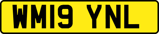 WM19YNL