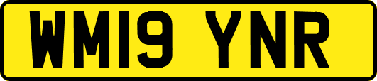 WM19YNR