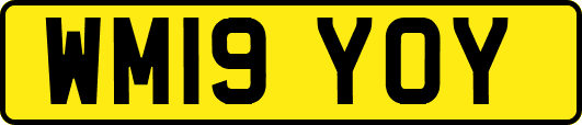 WM19YOY