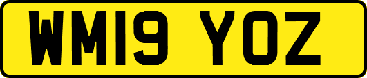 WM19YOZ