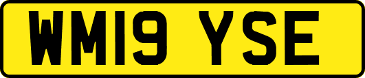 WM19YSE