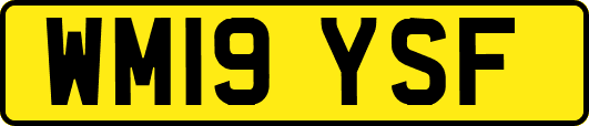 WM19YSF