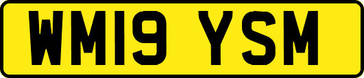 WM19YSM