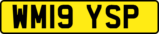 WM19YSP