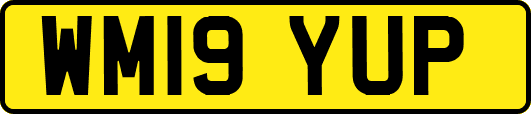 WM19YUP