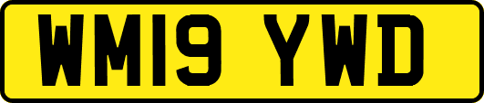 WM19YWD