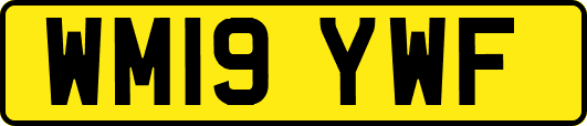 WM19YWF