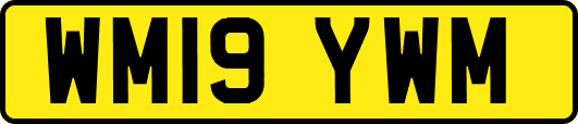 WM19YWM