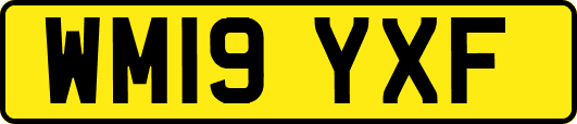 WM19YXF