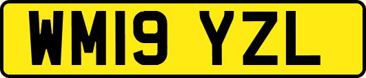 WM19YZL