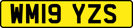 WM19YZS